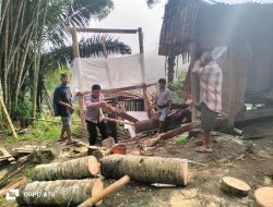 Bhabinkamtibmas Polsek Saluputti Gotong Royong Evakuasi Pohon Tumbang