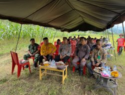 Polres Tana Toraja Dukung Panen Raya Jagung, Wujudkan Swasembada Pangan 2025