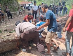 Respons Cepat Personel Polsek Saluputti Evakuasi Pohon Tumbang, Akses Ulusalu–Bittuang Kembali Normal